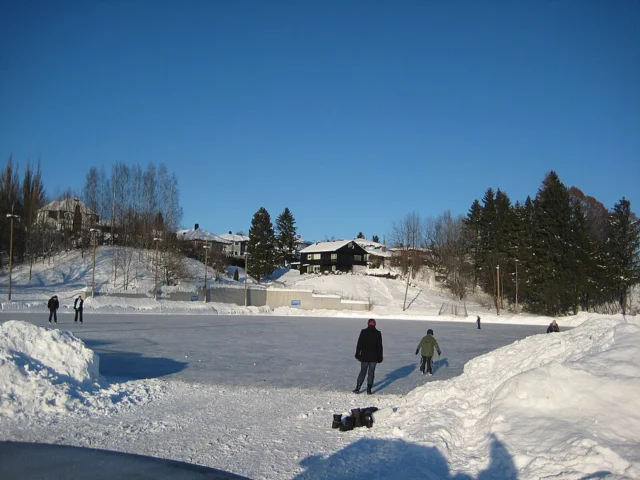 Brakerøyabanen