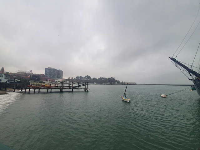 Aquatic Cove