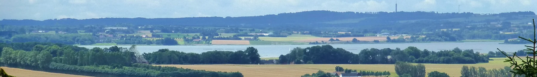 Horsens